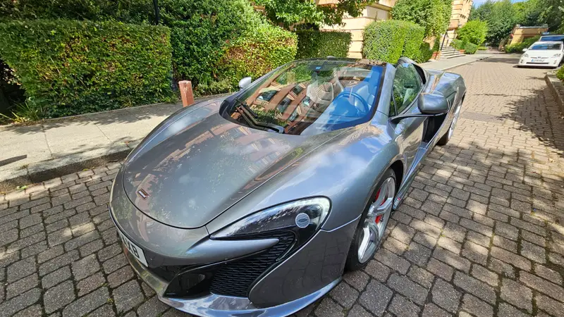 650S image 7